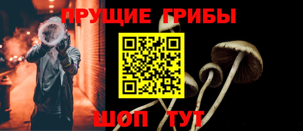 Псилоцибиновые грибы прущие грибы Кинешма