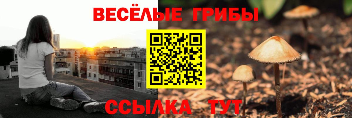 Псилоцибиновые грибы Cubensis  Вход с VPN  Галлюциногенные грибы ЛСД  Кинешма 